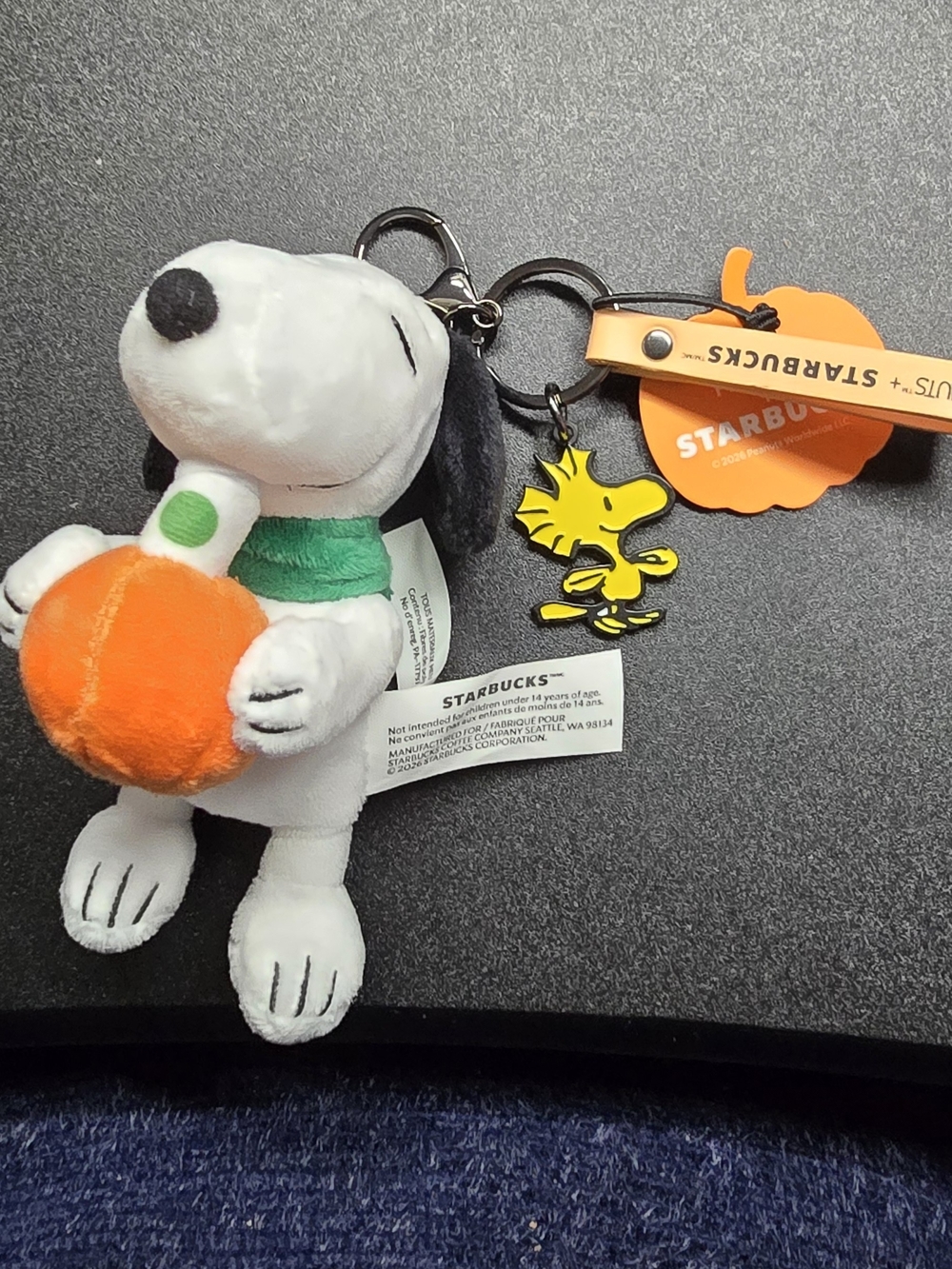 Starbucks Snoopy Plush Keychain in White, Green & Orange